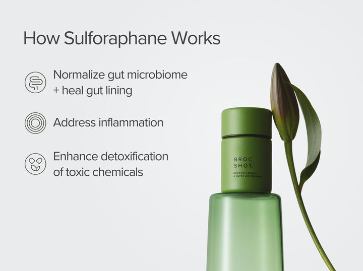 Pineapple + Mint Broc Shot - BROC SHOT