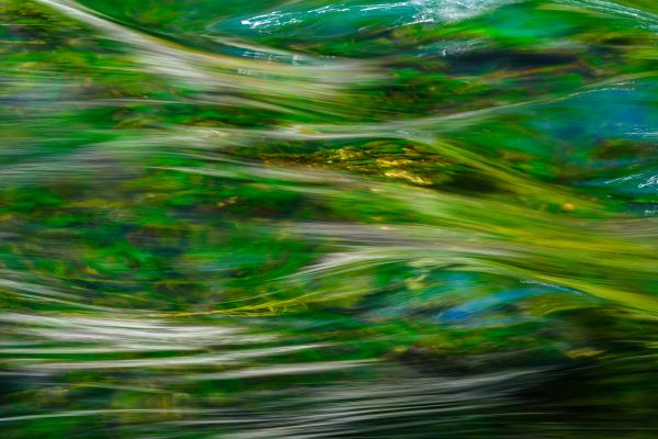 how long does it take for sulforaphane to work