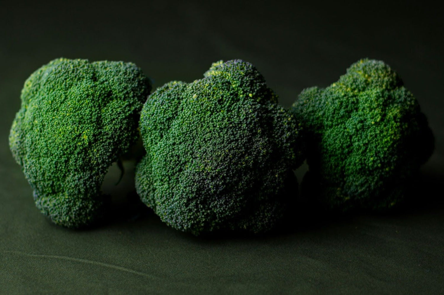 Front view of three broccoli heads showcasing tight green florets against a dark background