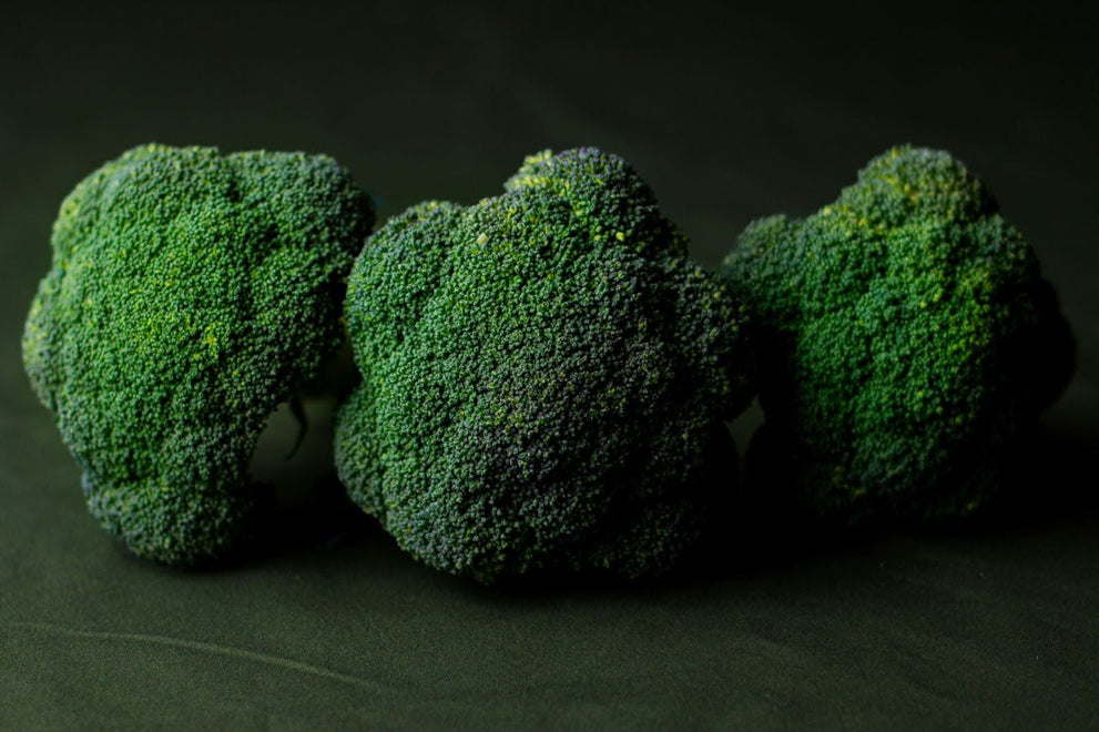 Front view of three broccoli heads showcasing tight green florets against a dark background