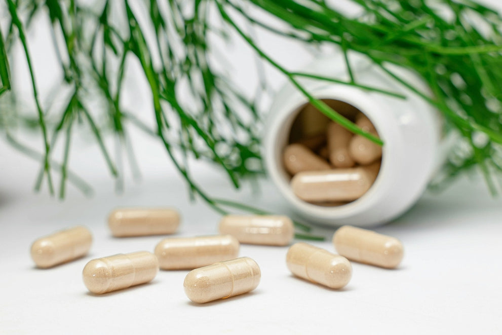 Beige supplement capsules spilled from a white bottle on a white surface with green plant stems in the background