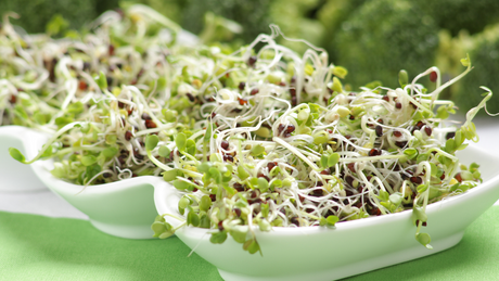 How to incorporate broccoli sprouts to your diet to help reduce post-holiday inflammation