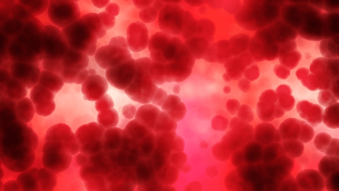 How to Reduce Inflammation in the Body: Support the Systems That Drive It - BROC SHOT