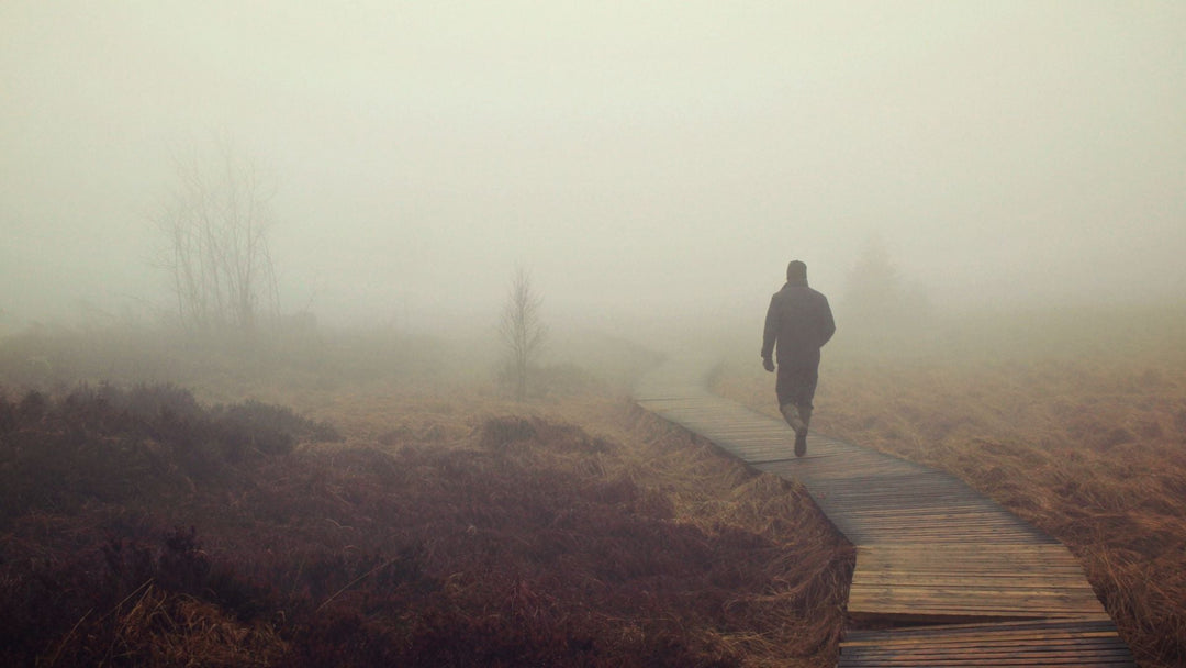 Best Supplements for Brain Fog and Low Energy - BROC SHOT