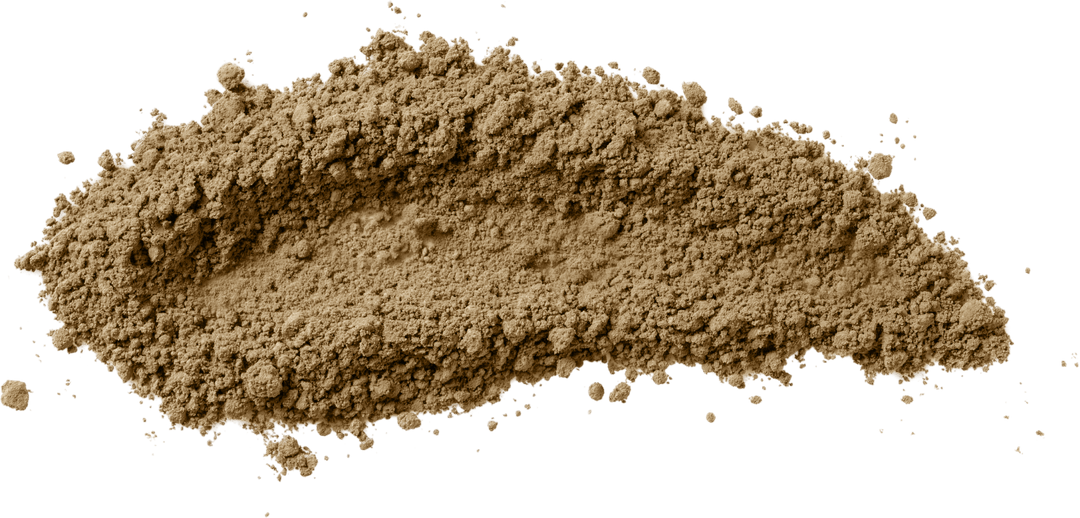 how much sulforaphane per day | Broc Shot for daily sulforaphane 