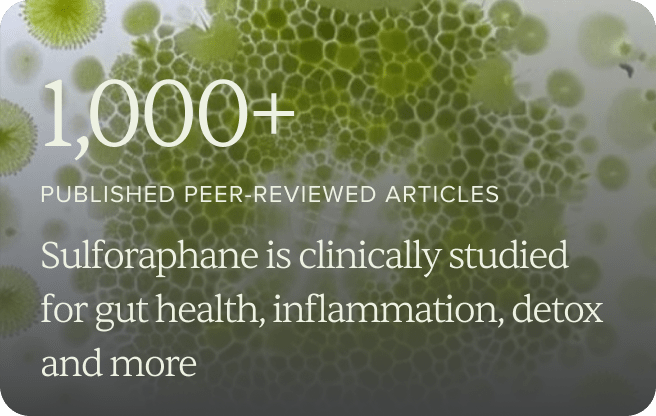 Sulforaphane Supplement Reviews: A Science-Based Look at What You Are Really Getting - BROC SHOT