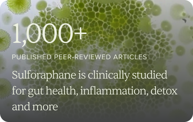 Sulforaphane Supplement Reviews: A Science-Based Look at What You Are Really Getting
