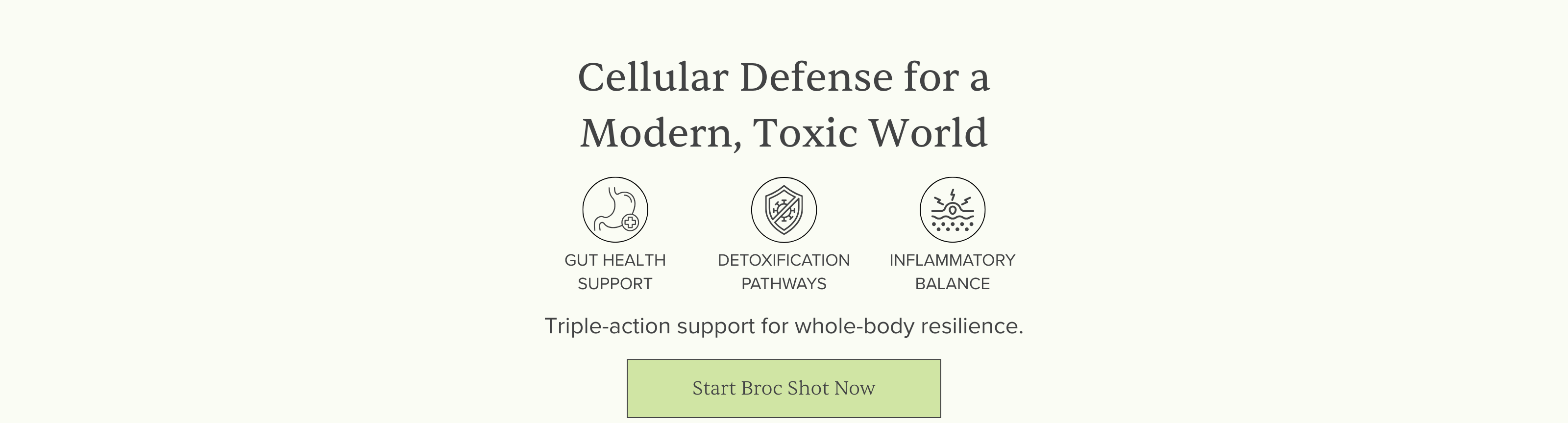 Banner headline Cellular Defense for a Modern, Toxic World showing gut support, detox pathways, inflammation balance